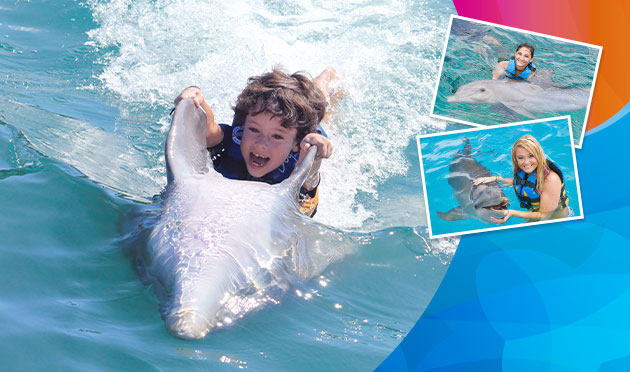 Dolphin Swim Adventure Memories 