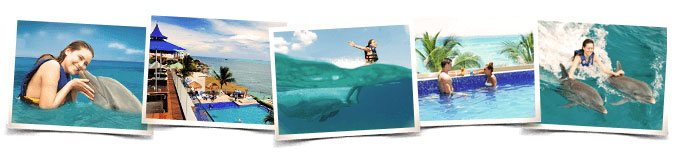 Dolphin Royal Swim Isla Mujeres