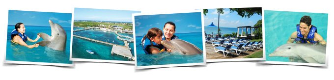 Dolphin Encounter Program