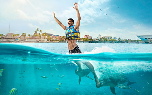 Dolphin Royal Swim VIP 