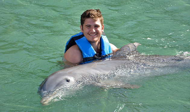 Dolphin Encounter Dolphin Encounter