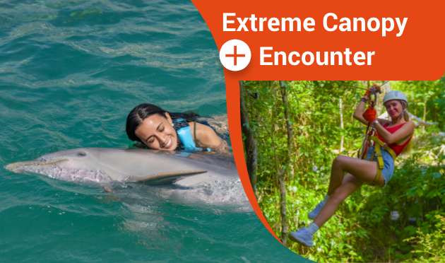 Dolphin Fun + Jungle Adventure Riviera Maya Dolphin Fun + Jungle Adventure Riviera Maya