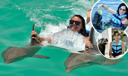Dolphin Royal Swim 