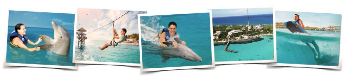 packages park and dolphins Isla Muejres