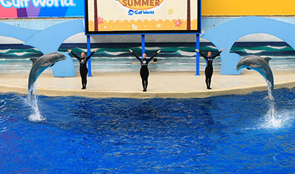 General Admission for Gulf World General Admission for Gulf World