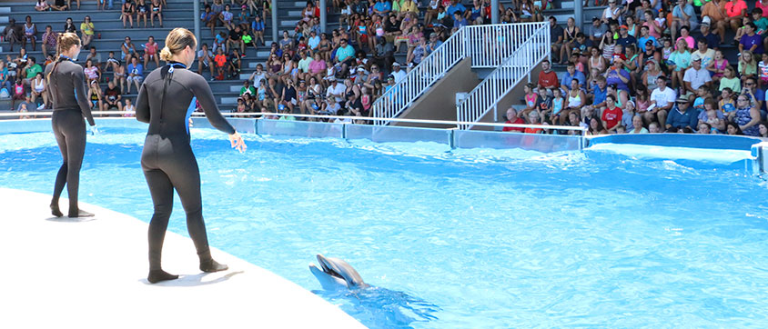 General Admission for Gulf World