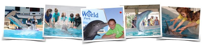 Dolphin Meet N Greet Program at Panama City Beach Florida
