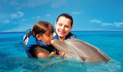 Dolphin Encounter 