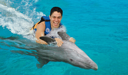 Dolphin Swim Adventure 