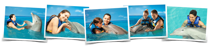 Dolphin Encounter Program