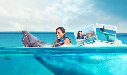 Dolphin Swim Adventure Memories Package 