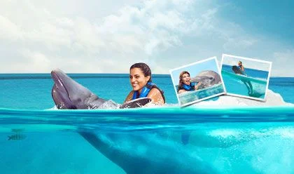 Dolphin Swim Adventure Memories Package 