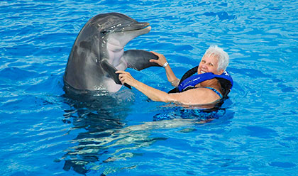 Dolphin Swimming Deals at Marineland | Dolphin Discovery