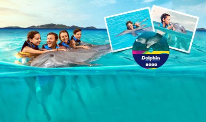 Dolphin Discovery Swim Memories 