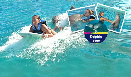 Dolphin Swim Adventure Memories Package