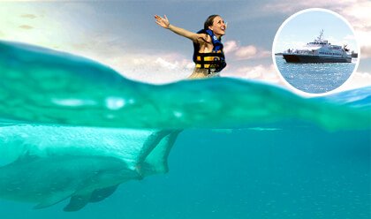 Royal Swim + Ferry St.John Royal Swim + Ferry St.John