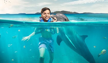 Dolphin Discovery Swim Dolphin Discovery Swim