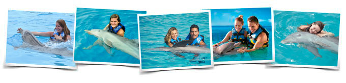 Dolphin Encounter Memories  Vallarta