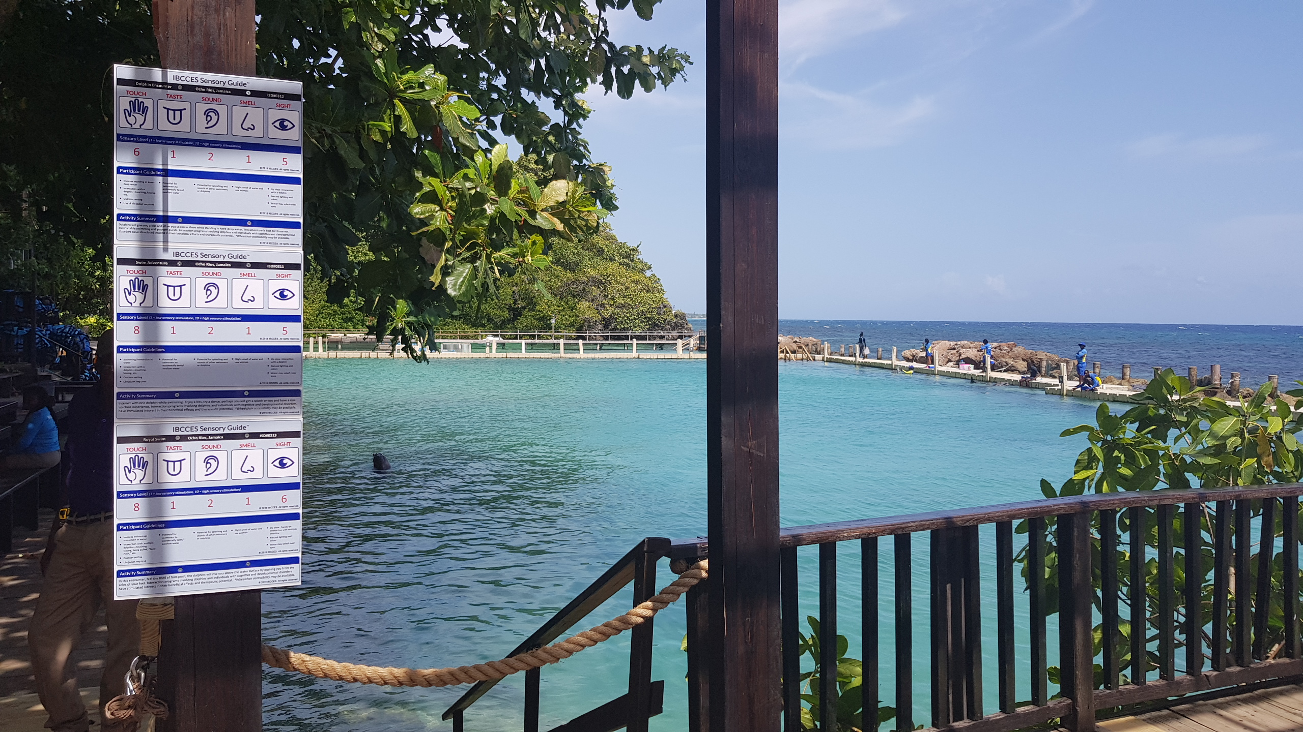 DOLPHIN DISCOVERY EARNS CERTIFIED AUTISM CENTER DESIGNATION