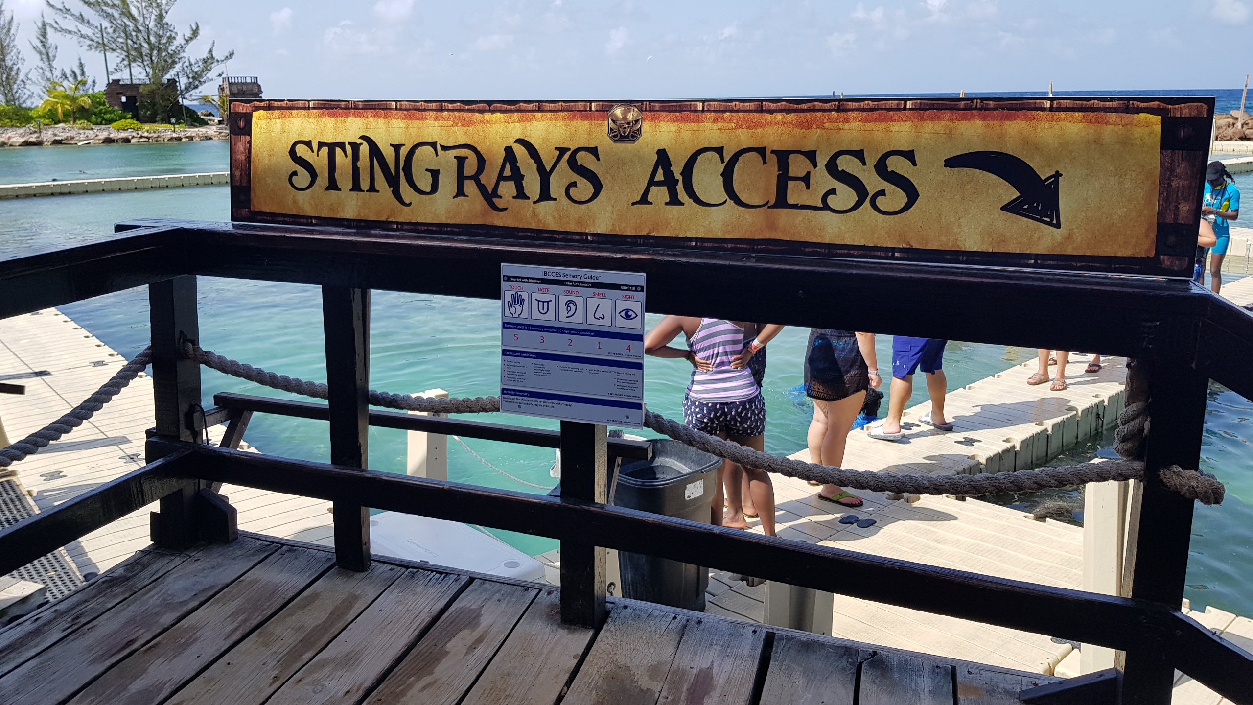 DOLPHIN DISCOVERY EARNS CERTIFIED AUTISM CENTER DESIGNATION