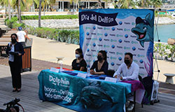 THE DOLPHIN COMPANY ANNOUNCES THE FOURTH DOLPHIN DAY FORUM WITH IMPORTANT EDUCATIONAL ACTIVITIES