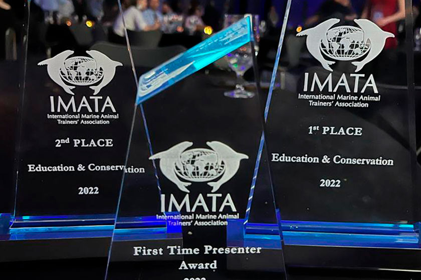 THE DOLPHIN COMPANY THREE TIMES AWARDED AT THE ANNUAL CONFERENCE OF THE INTERNATIONAL MARINE ANIMAL TRAINERS' ASSOCIATION (IMATA)