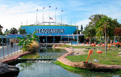 THE DOLPHIN COMPANY SIGNS AN AGREEMENT TO MANAGE MIAMI SEAQUARIUM