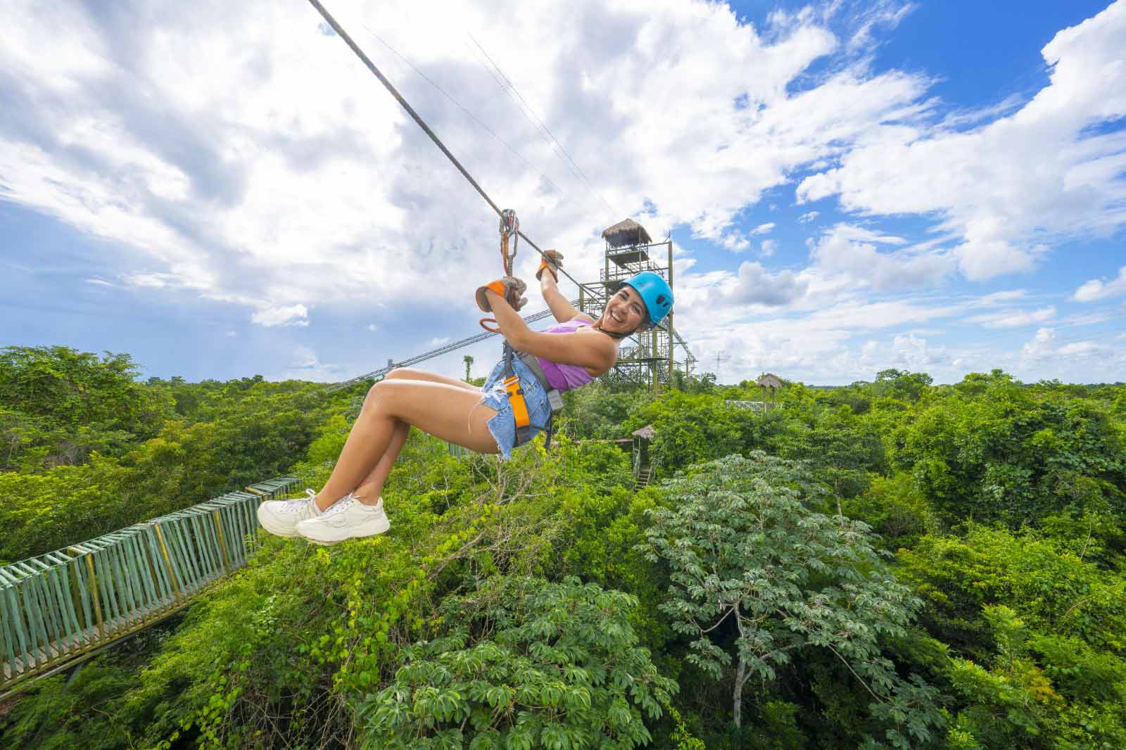 THE DOLPHIN COMPANY COMMEMORATES 31 YEARS