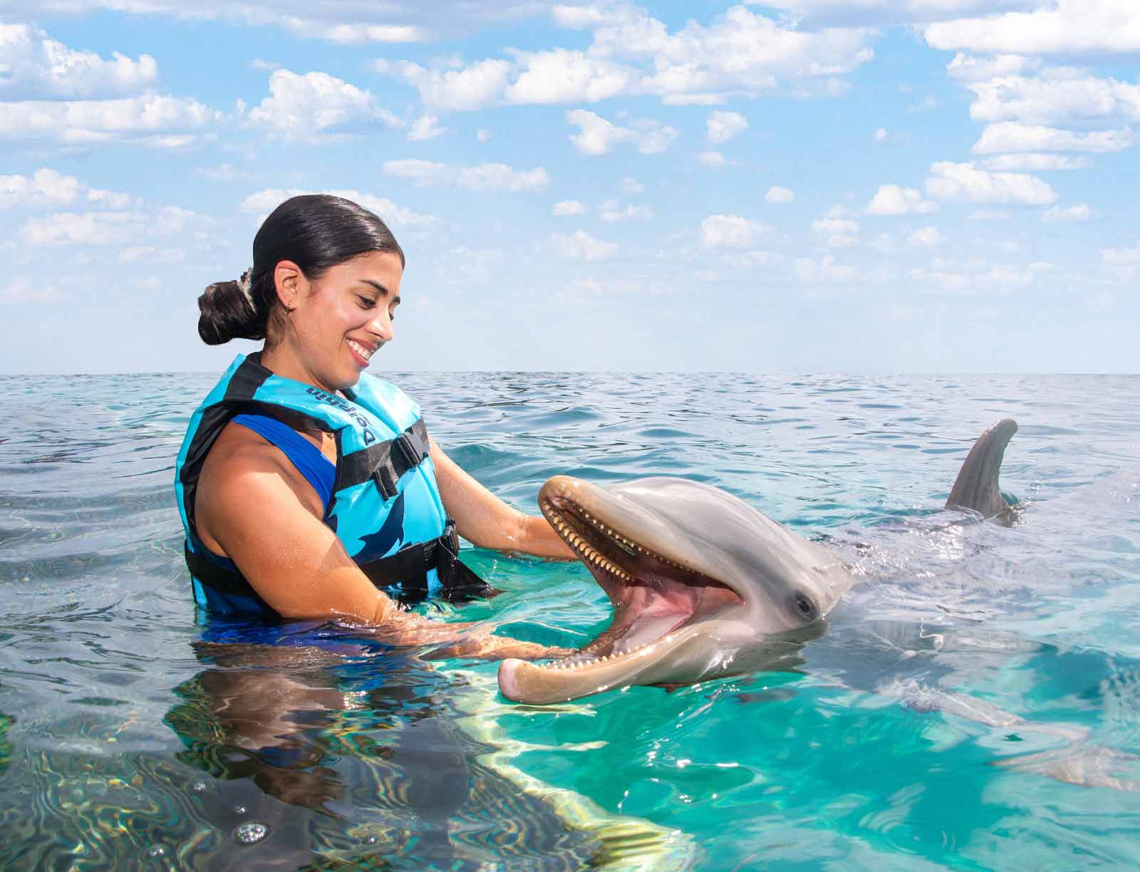 THE DOLPHIN COMPANY COMMEMORATES 31 YEARS 