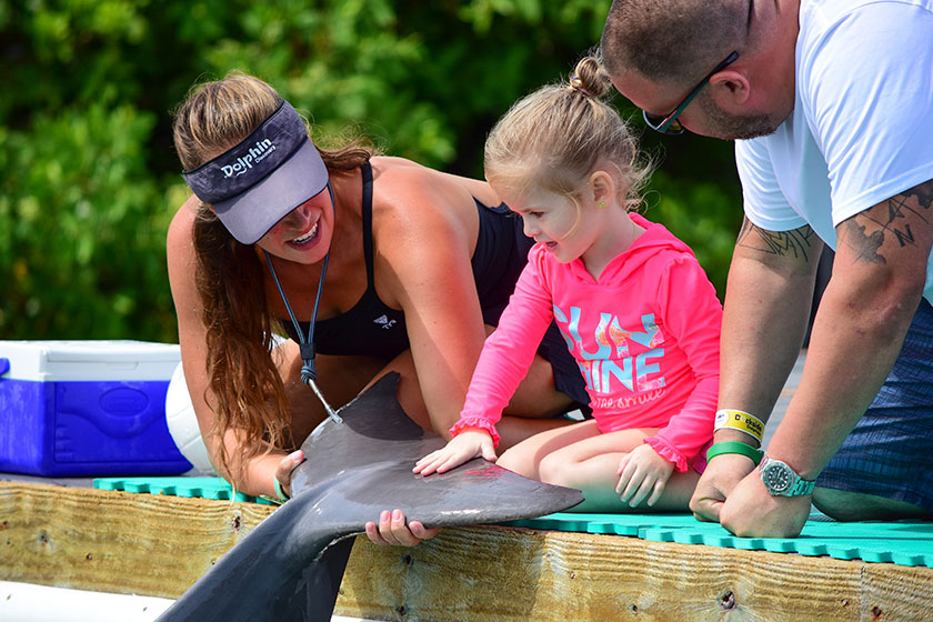 DOLPHIN CONNECTION EARNS AMERICAN HUMANE CERTIFIED SEAL FOR EXCEPTIONAL ANIMAL WELFARE