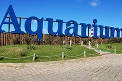 GRUPO DOLPHIN CONTINUES ITS EXPANSION AND ACQUIRES ONE OF THE MOST IMPORTANT AQUARIUMS IN SOUTH AMERICA, THE "AQUARIUM MAR DEL PLATA" IN ARGENTINA