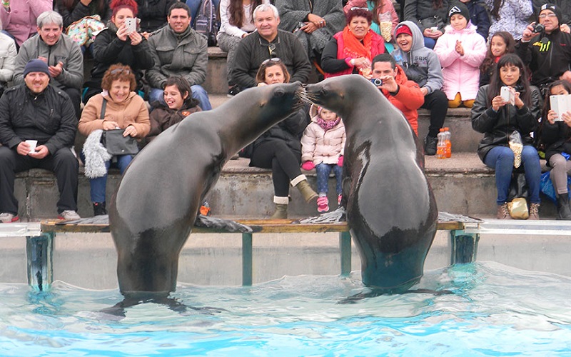 GRUPO DOLPHIN CONTINUES ITS EXPANSION AND ACQUIRES ONE OF THE MOST IMPORTANT AQUARIUMS IN SOUTH AMERICA, THE "AQUARIUM MAR DEL PLATA" IN ARGENTINA