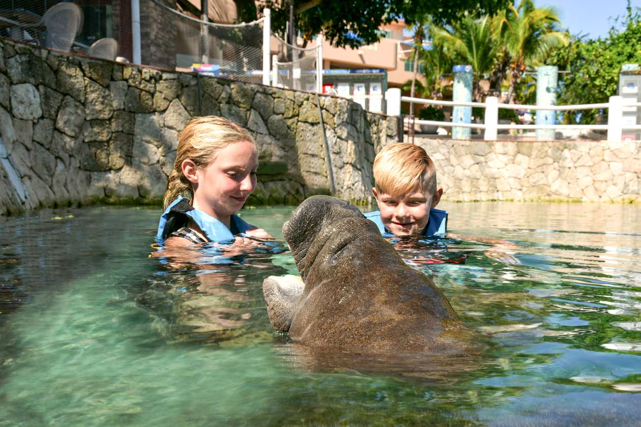 THE INTERNATIONAL MANATEE DAY WILL BE COMMEMORATED	WITH INCLUSIVE ACTIVITIES FOR THE ENTIRE PUBLIC