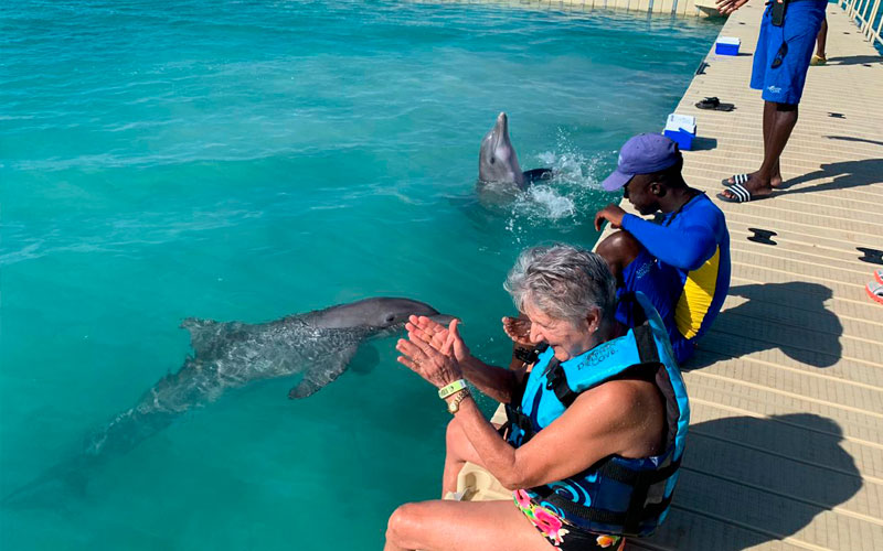 "DOLPHIN COVE PUERTO SECO", THE NEW HABITAT OF GRUPO DOLPHIN IN JAMAICA