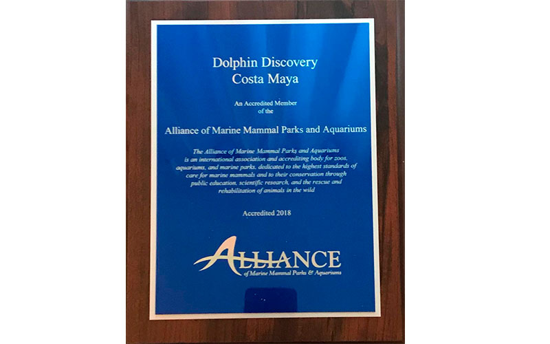 DOLPHIN DISCOVERY COSTA MAYA RECEIVES INTERNATIONAL RECERTIFICATION