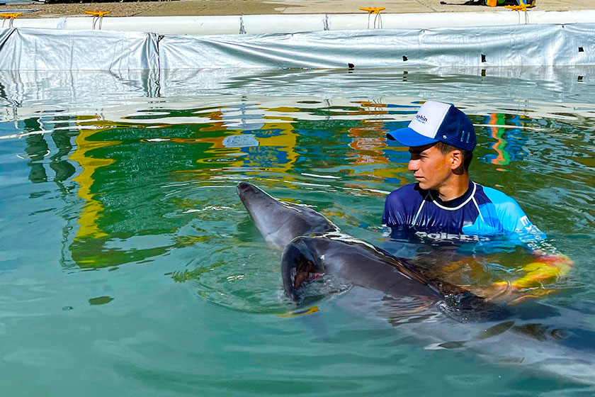 VETERINARIANS FROM DOLPHIN DISCOVERY LOS CABOS SAVE THE LIFE OF A DOLPHIN CAUGHT IN A FISHING NET