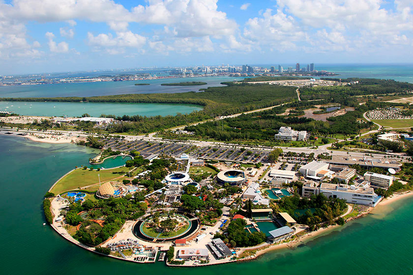 THE DOLPHIN COMPANY WELCOMES MIAMI SEAQUARIUM TO YOUR PARKS FAMILY