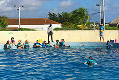 DOLPHIN DISCOVERY PUNTA CANA RECIEVES PRESTIGIOUS ACCREDITATION FROM THE ASSOCIATION OF ZOOS AND AQUARIUMS (AZA)