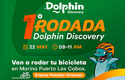 DOLPHIN DISCOVERY LOS CABOS ANNOUNCES ITS 1st. CYCLIST RIDE