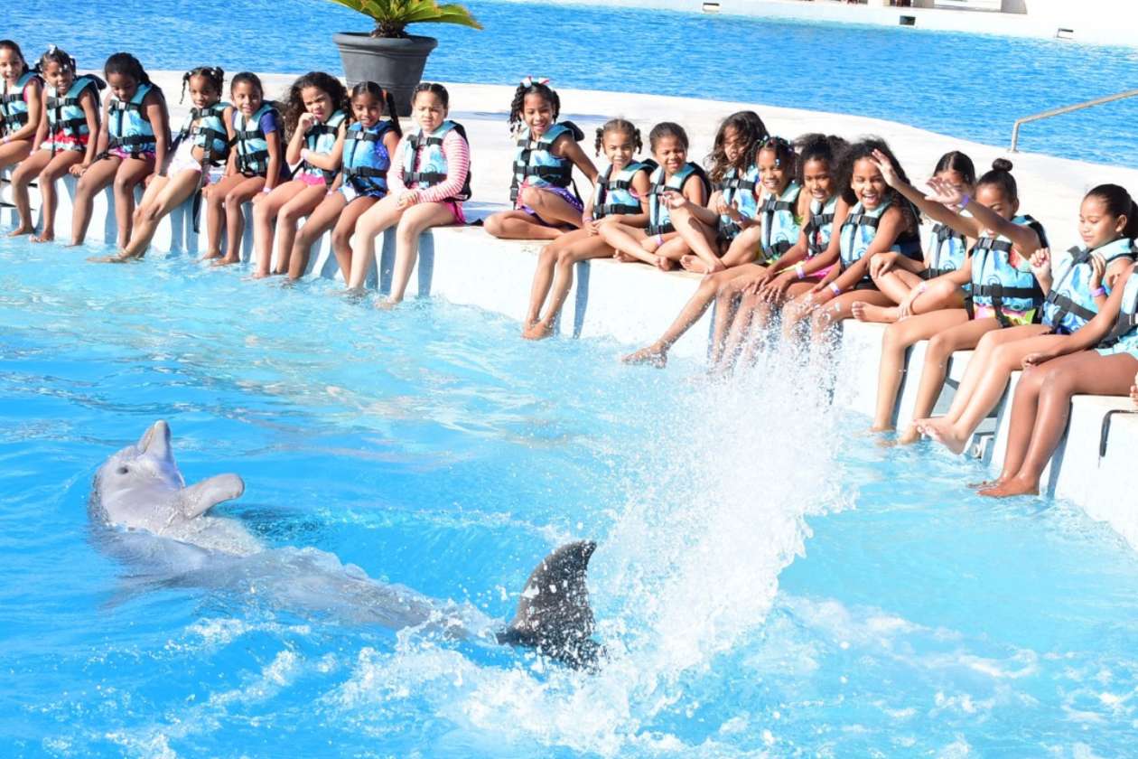 Punta Cana Activities for Holy Week | Dolphin Discovery