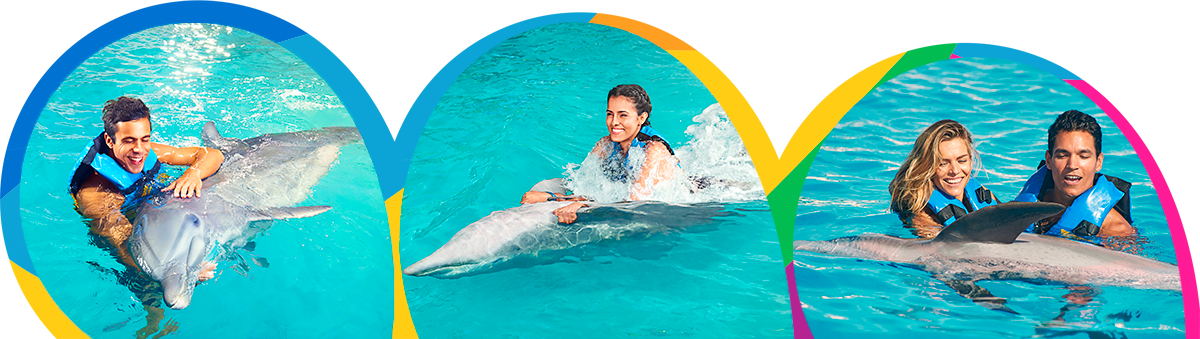 costa maya cruise port swim with dolphins