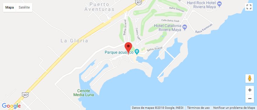Map Of Puerto Aventuras Dolphins In Mexico: How To Get To Riviera Maya Dolphin Discovery