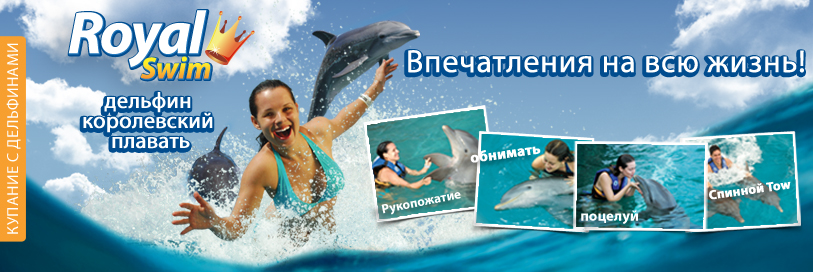 лавание с дельфинами