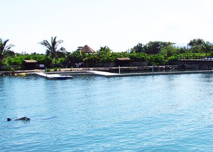 Dolphin cove Montego Bay Negril Location