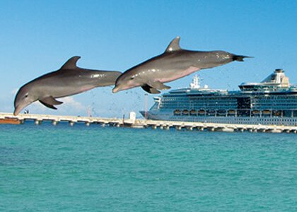 Dolphin Discovery Costa Maya Location
