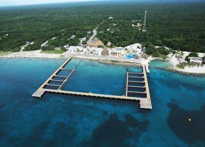 Dolphin Discovery Cozumel Location