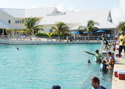 Dolphin Discovery Grand Cayman Location