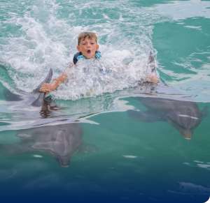 Man hugging dolphin in los cabos in the water