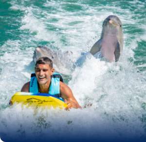 Man swimming with dolphins in Cabos