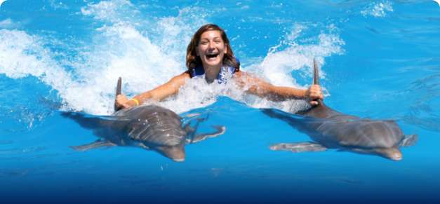 Woman swimming with Dolphins in Vallarta